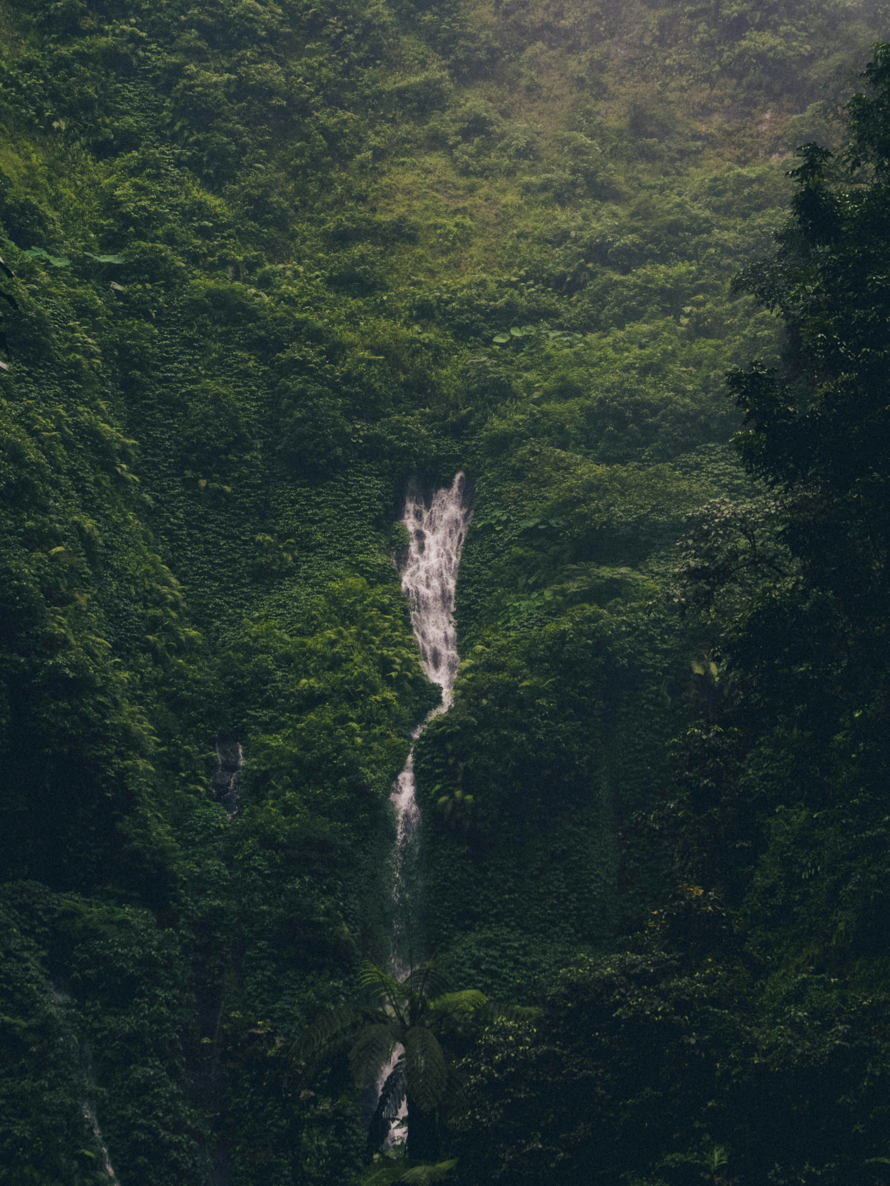 Air terjun Madakaripura jatuh di antara dinding batu yang hijau