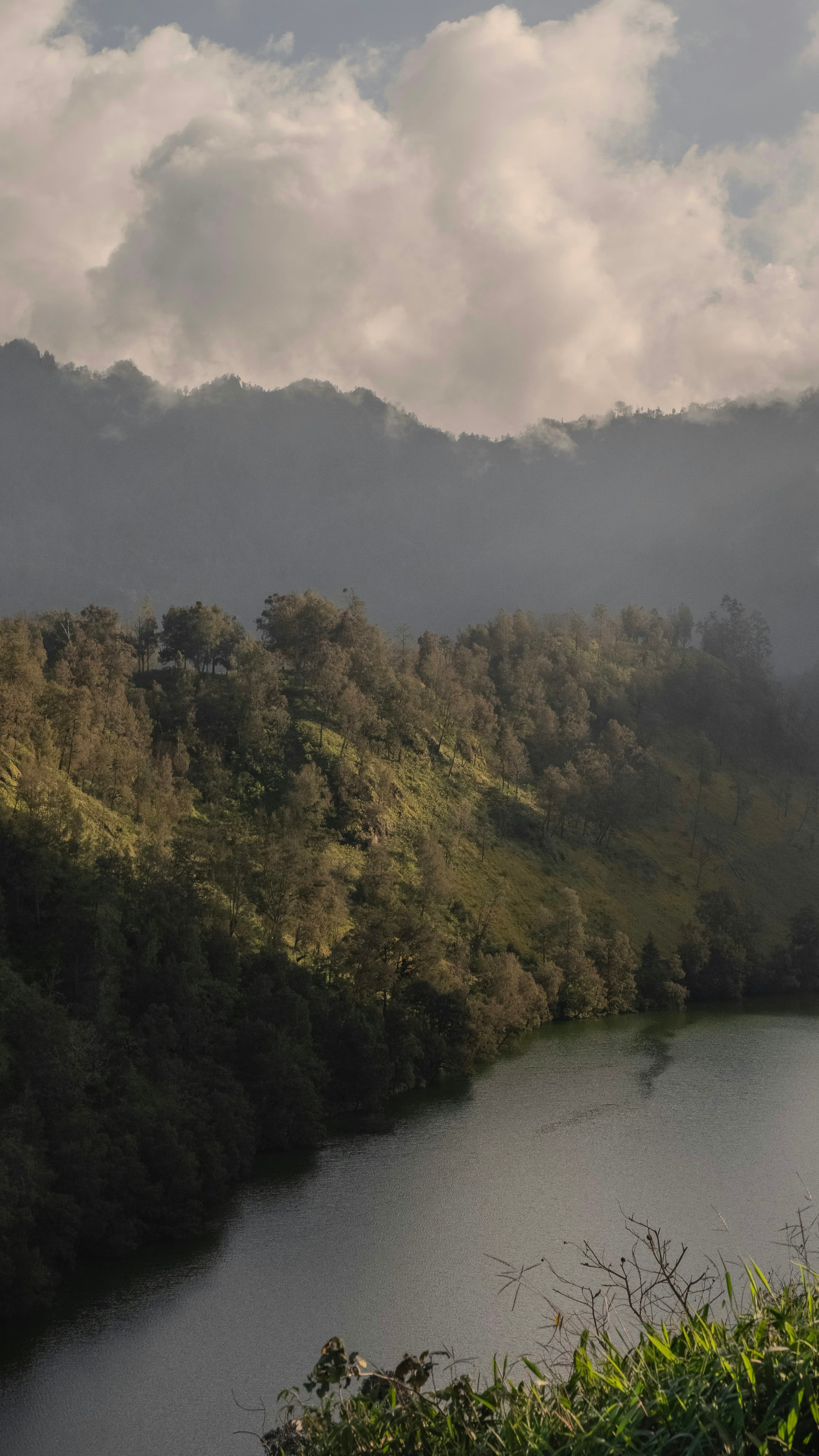 Danau Ranu Kumbolo dikelilingi hutan pinus dan kabut pagi
